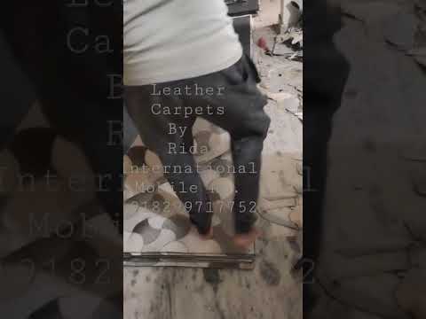 Hair on Leather Carpet