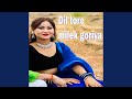 Dil Tore Milek Goriya