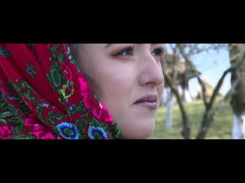 Orașul Negrești-Oaș/ The town of Negrești-Oaș/ La ville de Negrești-Oaș