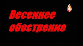 Весеннее обострение