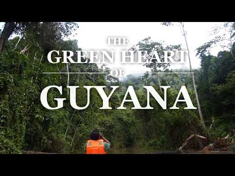 download lagu mp3 mp4 Green Guyana, download mp3 Green Guyana free download mp3, download mp3 Green Guyana