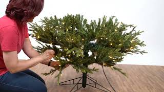 Designer Tip: How to Fluff a Christmas Tree