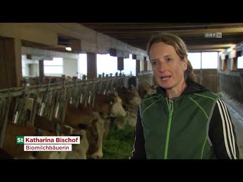 Steirische Landwirtschaft: Milchbauern