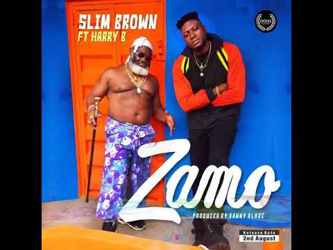 Slim Brown Ft Harry B - Zamo