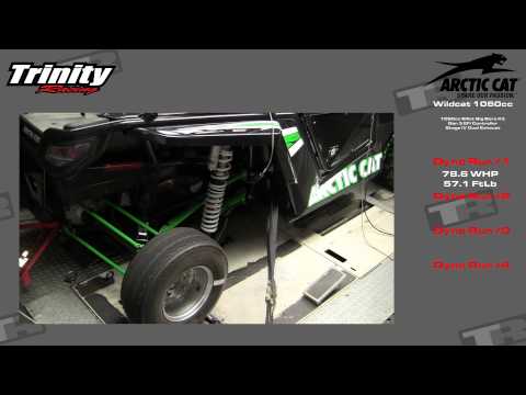 Big Bores and Stage IVs Trinity Racing 100+HP Wildcat 1000