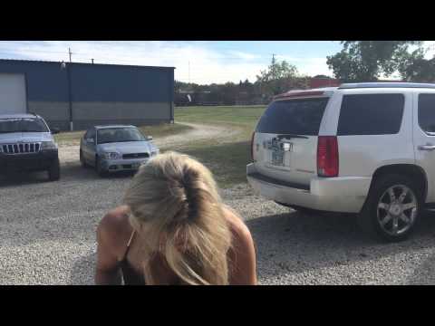 Sit Means Sit Dog Training video.