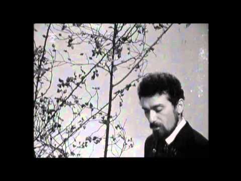 Krysař  -  Waldemar Matuška