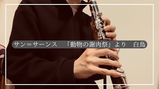 Download lagu サン=サーンス 「動物の謝肉祭」より 白鳥 mp3 Download lagu サン=サーンス 「動物の謝肉祭」より 白鳥 mp3