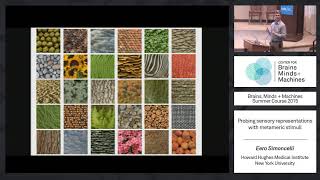 Seminar 4.1: Eero Simoncelli: Probing Sensory Representations