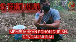 Download lagu EASY WAY TO MAKE DURIAN TREES FRUIT mp3