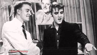 Elvis Presley - I Got Stung (take 8)