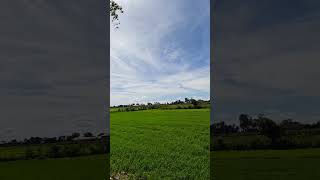 Download lagu Momen Damai di Sawah 😍🥰 mp3