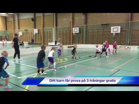 Å/K IBS Innebandyskola