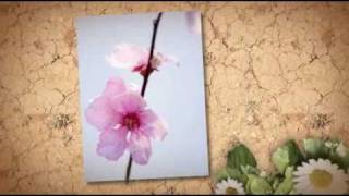 QUE NOS SEPAREMOS (IO E TE DA SOLI)-MINA