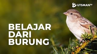 Download lagu Belajar Dari Burung - Ustadz Abdullah Zaen, Lc., M.A. mp3 Download lagu Belajar Dari Burung - Ustadz Abdullah Zaen, Lc., M.A. mp3