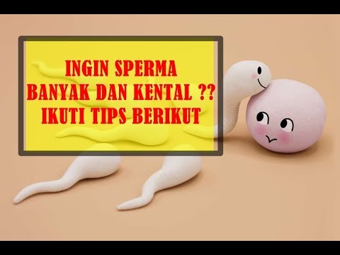 Biji adas untuk meningkatkan potensi Anggota urologi peningkatan