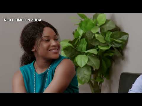 Chiko does not like Zuba -  Zuba | S 5  | Ep 141 | OneZed