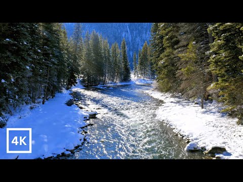 4K Winter River Sunrise | Relaxing Winter Nature Scene | Forest River Nature Sounds | White Noise