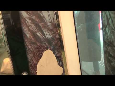 C De Terp - De Akkers (2020)