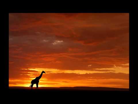 Wio-K - Hidden Track