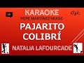 Pajarito colibrí Natalia Lafourcade Karaoke