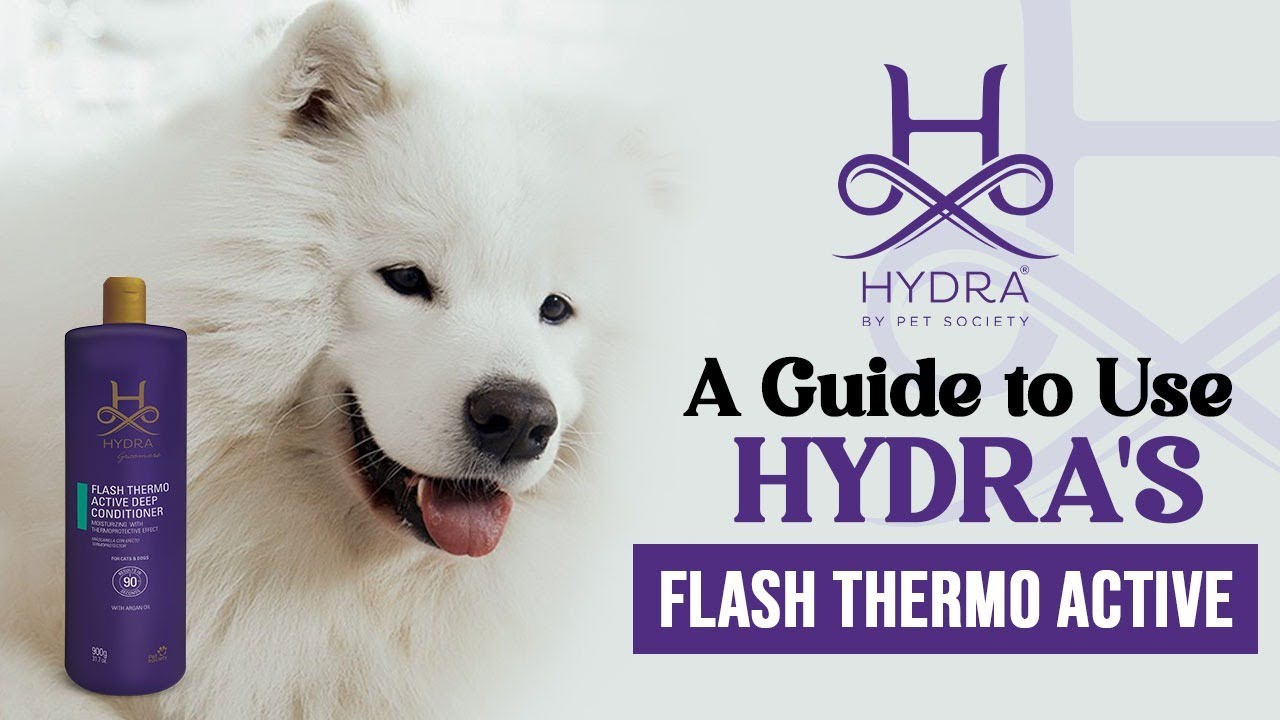 Hydra Flash Thermo Active