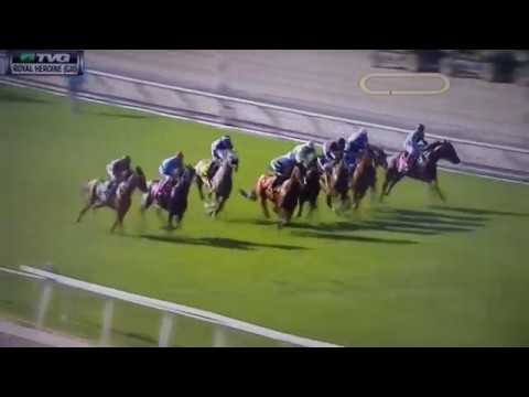 ROYAL HEROINE (G 2) STAKES 4/7/18 - BEAU RECALL !!