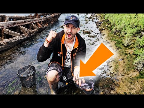 How did I spot this? EPIC FIND near SHIPWRECKS!