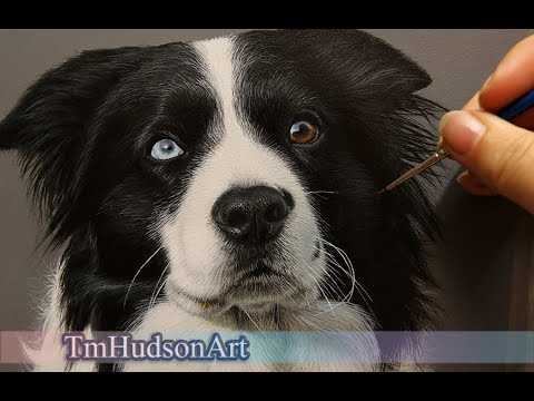 How to paint realistic black fur in acrylics -  step by step tutorial