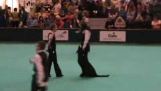 Tyler Crufts 2010