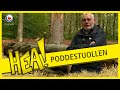 HEA! Op paddenstoelenjacht