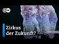 Holographie Statt Echter Tiere Im Zirkus Euromaxx