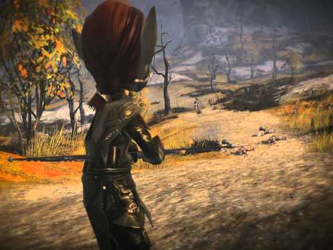 Guild Wars 2 Thief (www.gw-nl.net)