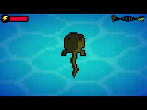 Gameplay Ancestral Journey