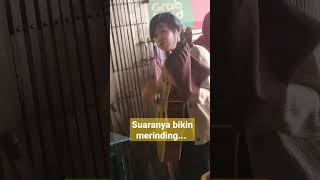 Download lagu Suara Emas sang pengamen cantik... #shorts mp3 Download lagu Suara Emas sang pengamen cantik... #shorts mp3