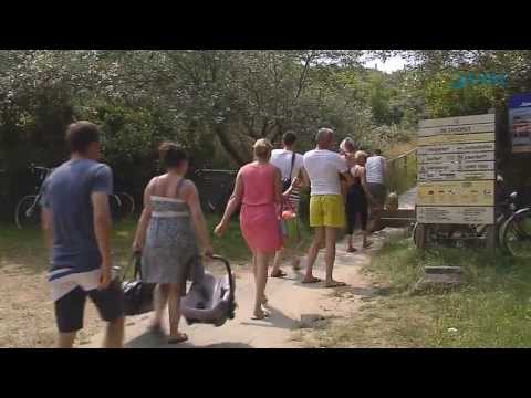 Camping Janse Zoutelande in 3 minuten!