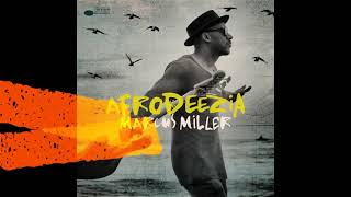 MARCUS MILLER - WATER DANCER (2015)
