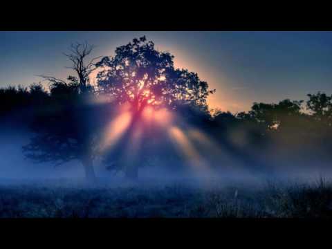 David & Carr - Cypress (Sequentia's Late At Night Remix)