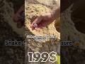 Snake-Shaped🐍Treasure Found on the Beach😱🏝️What Is It?🤯 Write in the comments🤍Subscribe to me:)
