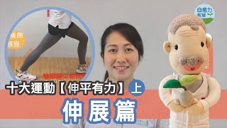 伸平有力｜之伸展篇(上)