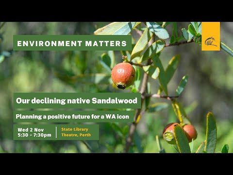 Environment Matters 2022: Our declining native sandalwood