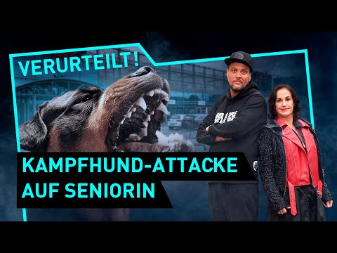 Kampfhund-Attacke auf Seniorin | Verurteilt! - Der Gerichtspodcast