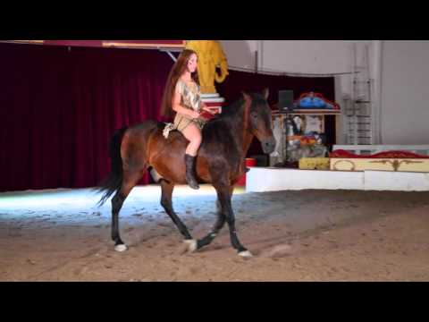 download lagu mp3 mp4 Indianershow, download mp3 Indianershow free download, download mp3 Indianershow