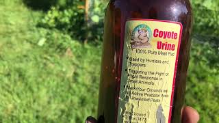 Coyote Urine. To keep out pest from the garden.