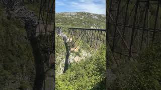 Alaska Cruise: Spotting the ABANDONED RAILWAY BRIDGE in Skagway