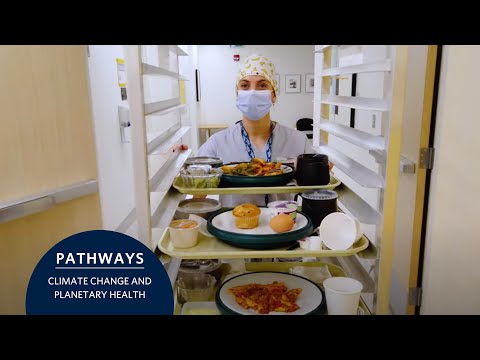 Toward greener, healthier hospital menus | Transforming hospital food systems | Planetary health
