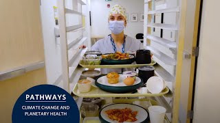 Toward greener, healthier hospital menus | Transforming hospital food systems | Planetary health