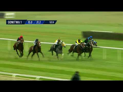 Dzień 45 - (16.11.2024) Tor Służewiec