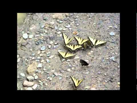 Happy Mothers Day 2011