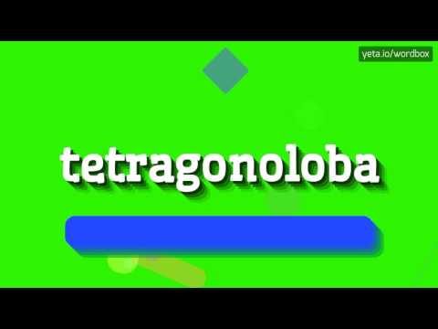 TETRAGONOLOBA - HOW TO PRONOUNCE IT!?
